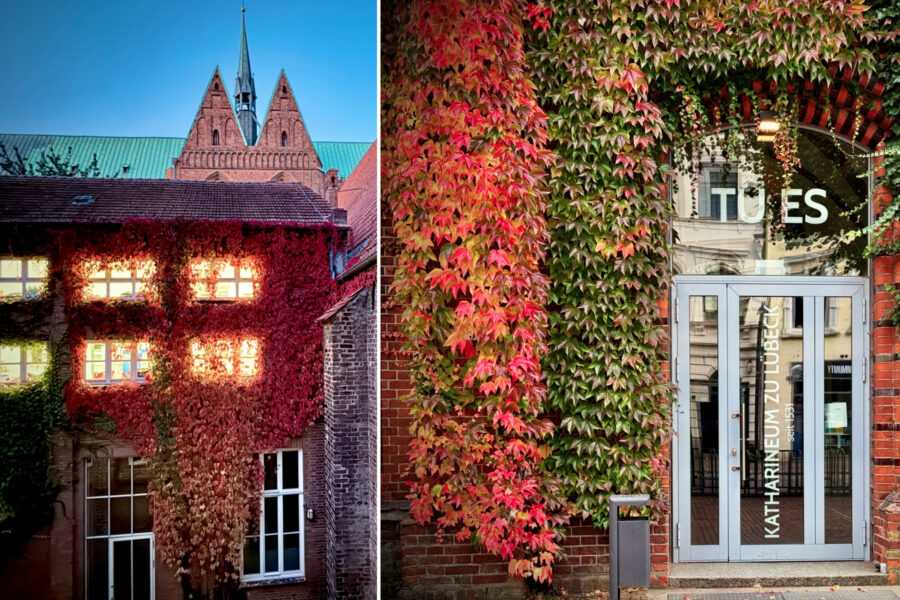 Schöne Herbstferien!