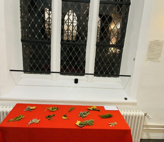 Ausstellung Klangobjekte 25.11.2529