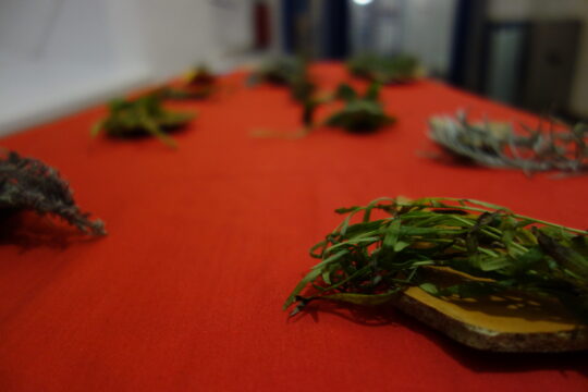 Ausstellung Klangobjekte