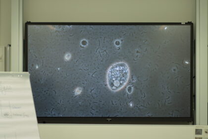 Schulvorstellung 2026