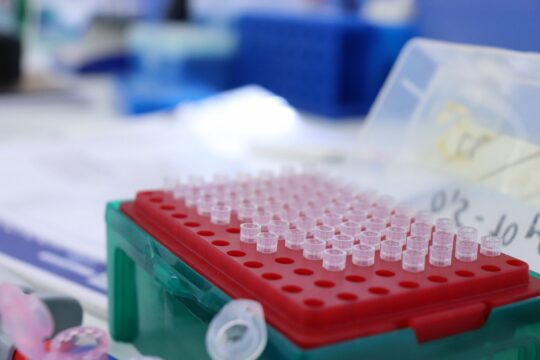 Unser Besuch im LoLa