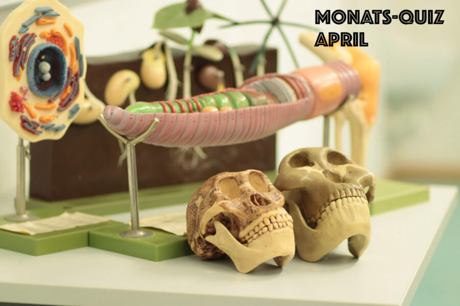 Monatsquiz April im Zeichen der Biologie