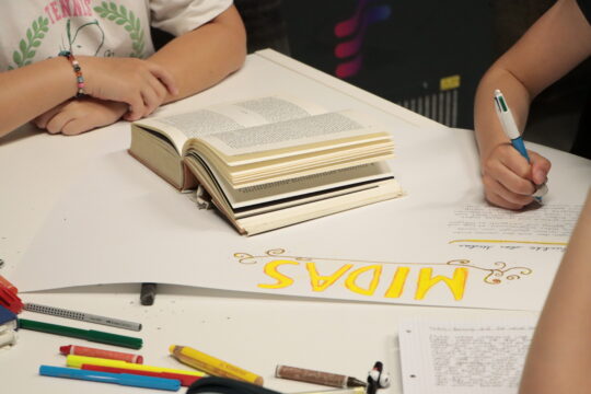 Workshop 'Zuvielisation'