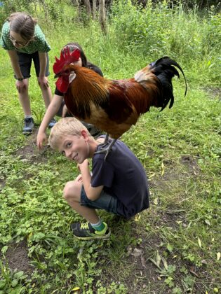Wald-und Wiesen-AG auf Bio-Landhof in Bliestorf